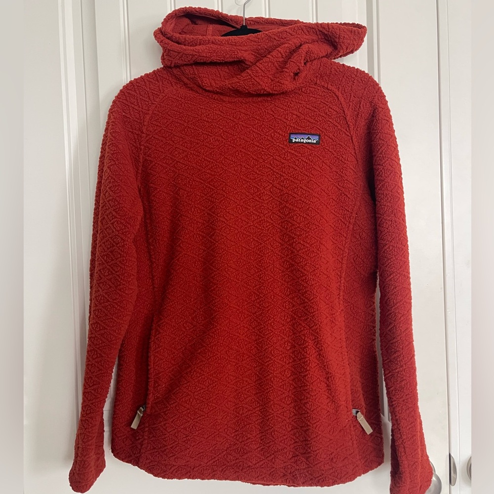 Patagonia Diamond Capra Hoody (women’s) Size Medium